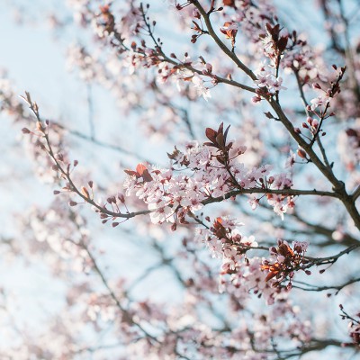 365 Project: Week 16